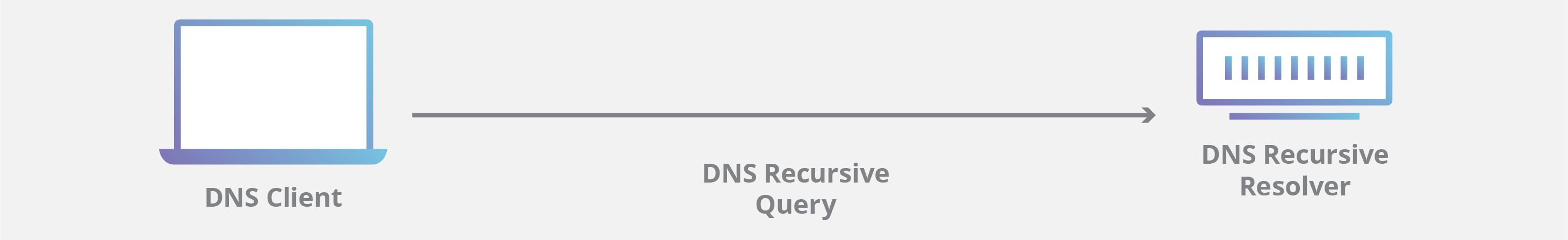 Dns Chart