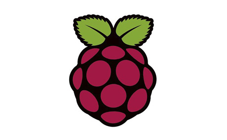 logo raspberry pi