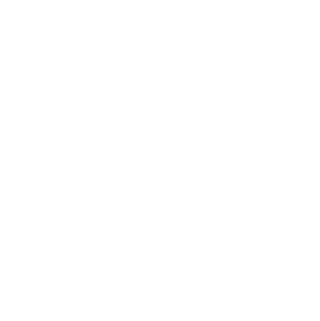 icon easy on and off white