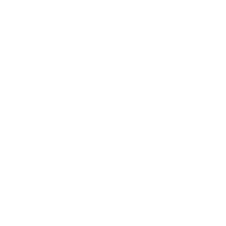 icon api gateway white